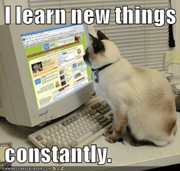 A learning cat